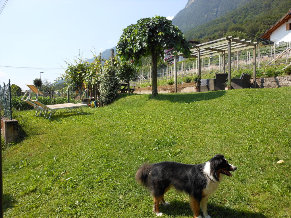 Haus Tirol Apartment Caldaro Exterior foto
